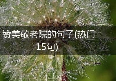 赞美敬老院的句子(热门15句)