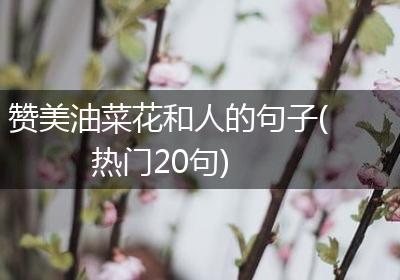 赞美油菜花和人的句子(热门20句)