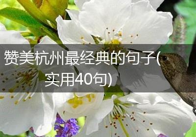 赞美杭州最经典的句子(实用40句)
