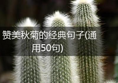 赞美秋菊的经典句子(通用50句)