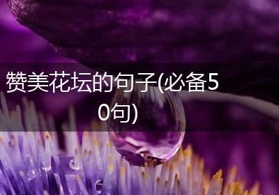 赞美花坛的句子(必备50句)