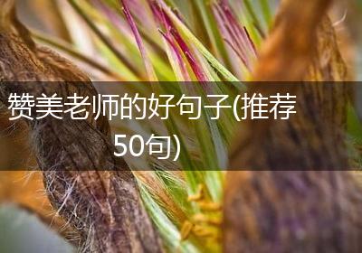赞美老师的好句子(推荐50句)