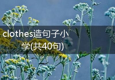 clothes造句子小学(共40句)