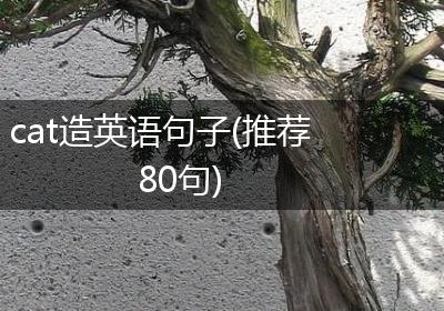 cat造英语句子(推荐80句)