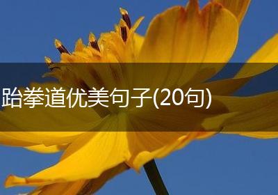 跆拳道优美句子(20句)