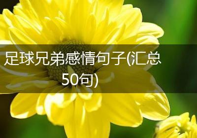 足球兄弟感情句子(汇总50句)