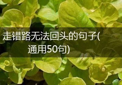 走错路无法回头的句子(通用50句)