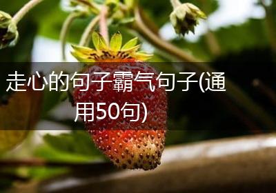 走心的句子霸气句子(通用50句)