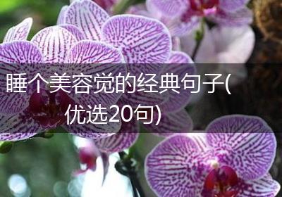 睡个美容觉的经典句子(优选20句)