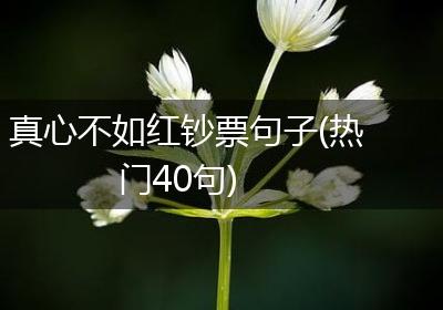 真心不如红钞票句子(热门40句)