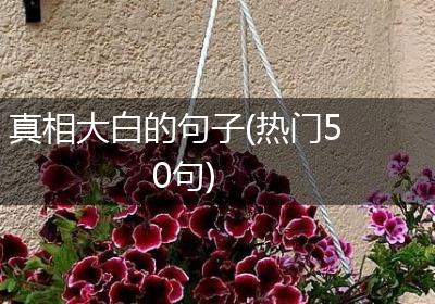 真相大白的句子(热门50句)