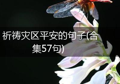 祈祷灾区平安的句子(合集57句)