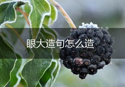眼大造句怎么造