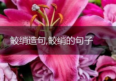 鲛绡造句,鲛绡的句子