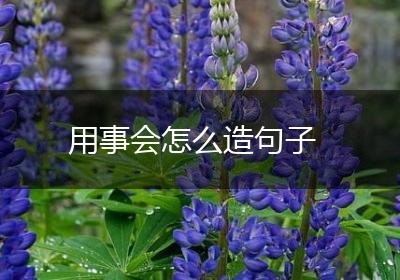 用事会怎么造句子