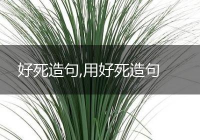 好死造句,用好死造句