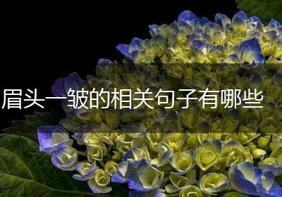 眉头一皱的相关句子有哪些