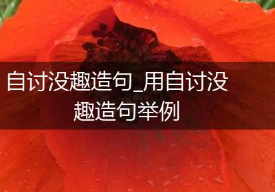 自讨没趣造句_用自讨没趣造句举例