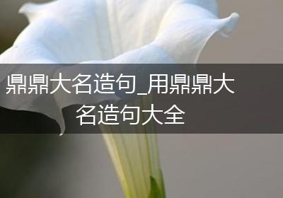 鼎鼎大名造句_用鼎鼎大名造句大全