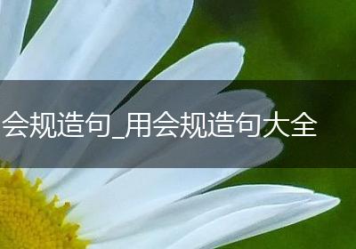 会规造句_用会规造句大全