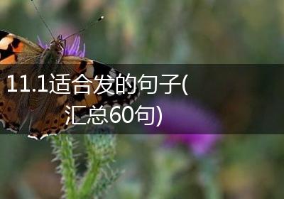11.1适合发的句子(汇总60句)