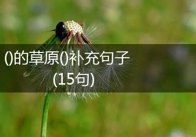 ()的草原()补充句子(15句)