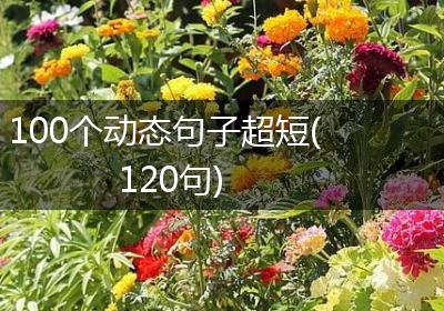 100个动态句子超短(120句)