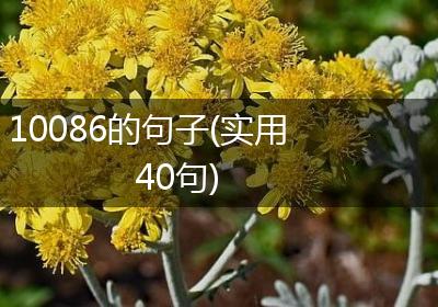 10086的句子(实用40句)