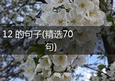 12 的句子(精选70句)