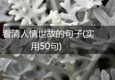 看清人情世故的句子(实用50句)