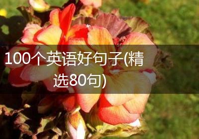 100个英语好句子(精选80句)