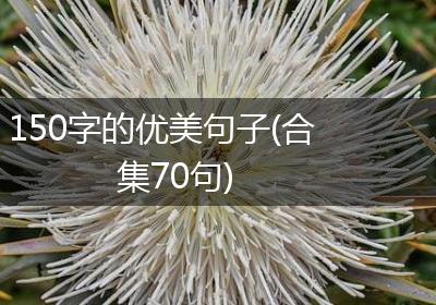 150字的优美句子(合集70句)