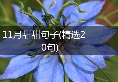 11月甜甜句子(精选20句)