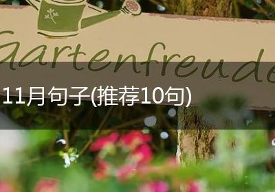 11月句子(推荐10句)