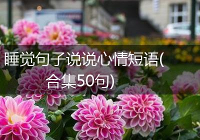 睡觉句子说说心情短语(合集50句)