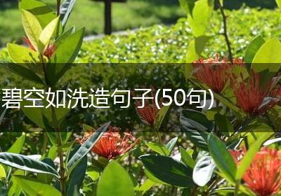 碧空如洗造句子(50句)