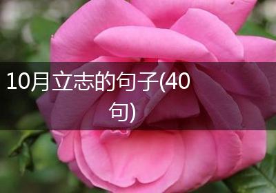 10月立志的句子(40句)