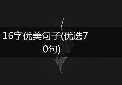 16字优美句子(优选70句)