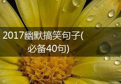 2017幽默搞笑句子(必备40句)