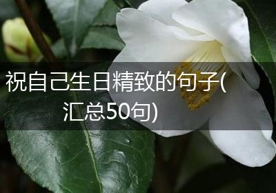 祝自己生日精致的句子(汇总50句)