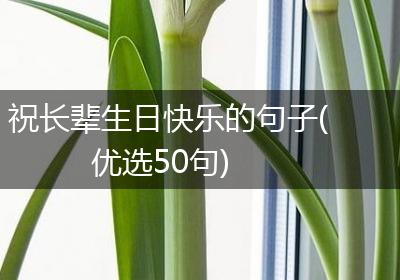 祝长辈生日快乐的句子(优选50句)