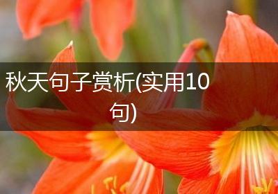 秋天句子赏析(实用10句)