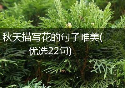秋天描写花的句子唯美(优选22句)