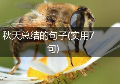 秋天总结的句子(实用7句)