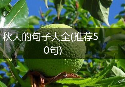 秋天的句子大全(推荐50句)