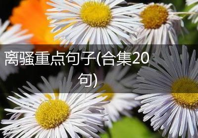 离骚重点句子(合集20句)