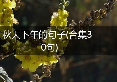 秋天下午的句子(合集30句)