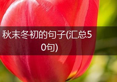 秋末冬初的句子(汇总50句)