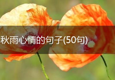 秋雨心情的句子(50句)