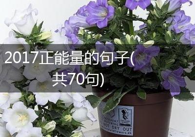 2017正能量的句子(共70句)